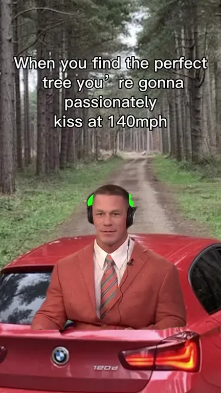 Perfect Tree at 140mph