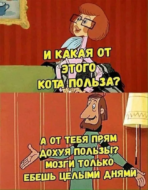 Какая от этого кота польза