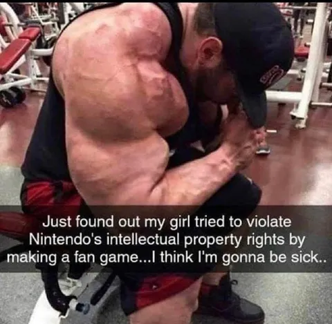 Nintendo Fan Game Intellectual Property