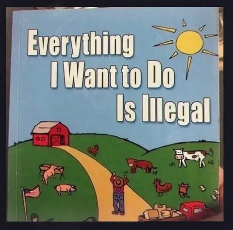 Everything I Want to Do Is Illegal