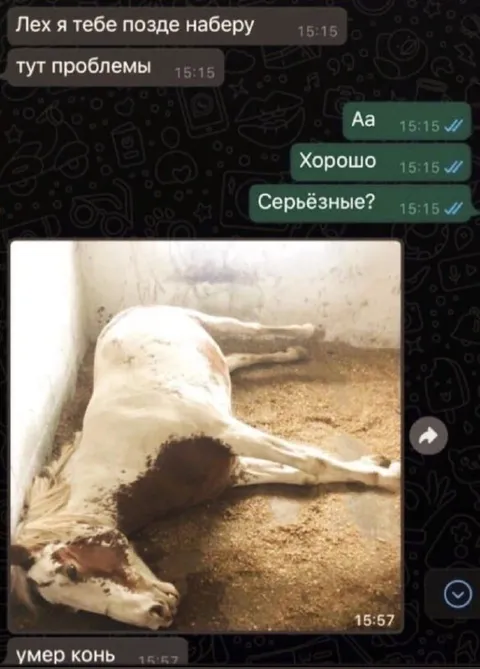 Серьёзные проблемы с конём