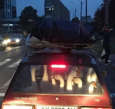 Диван на крыше Таврии