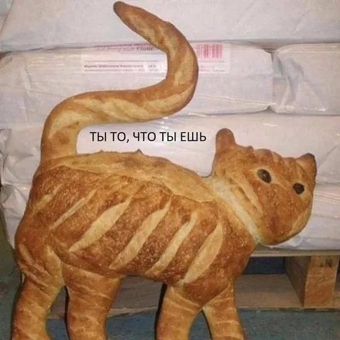 Ты то, что ты ешь