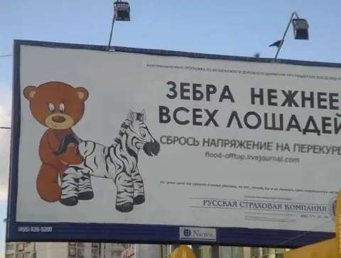 Зебра нежнее всех лошадей