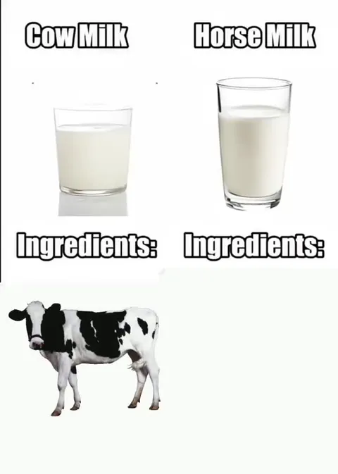Cow Milk vs Horse Milk