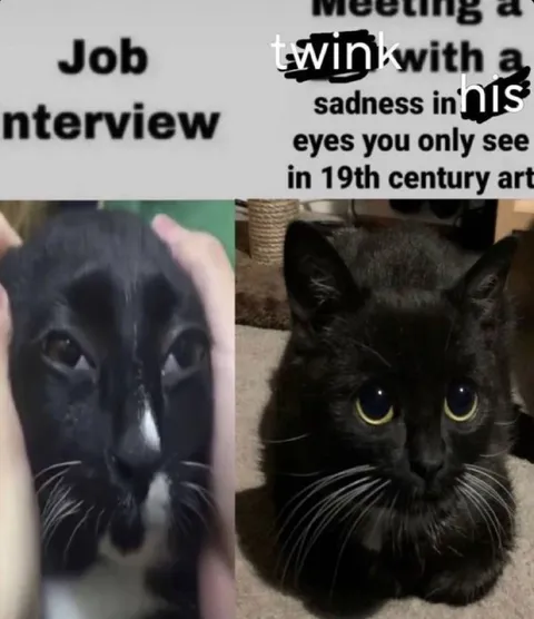 Meeting a Sad Twink