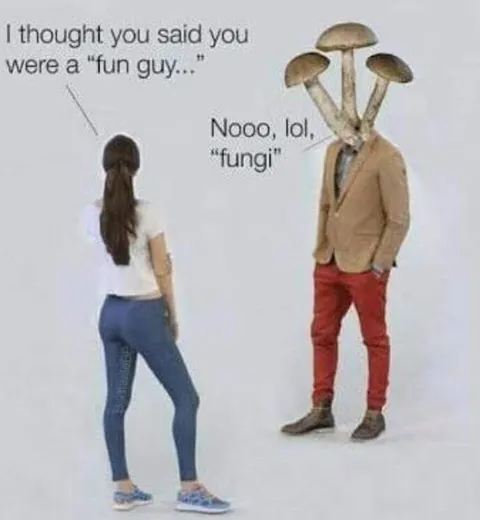Fun Guy or Fungi