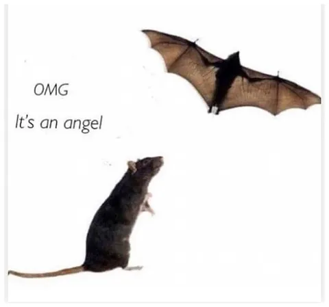 It's an Angel Bat