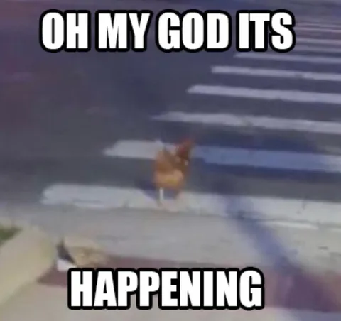 Oh My God It’s Happening