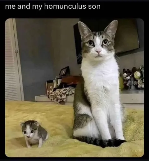 Me and My Homunculus Son