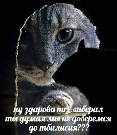 Ну здорова, ты либерал