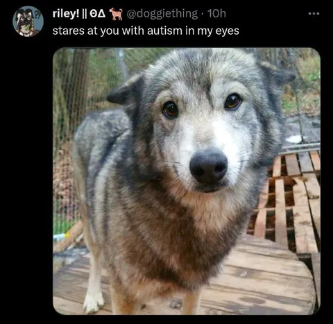 Autism in My Eyes