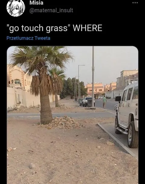 Go Touch Grass Literally