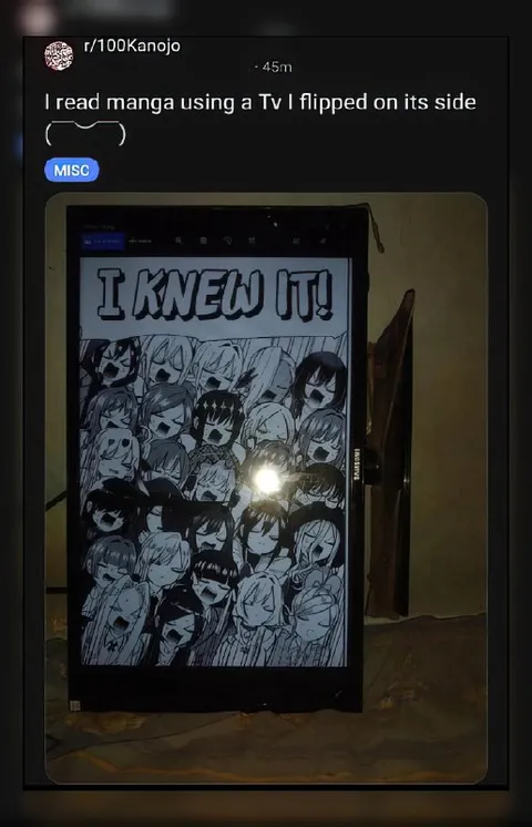 Reading Manga on a Flipped TV