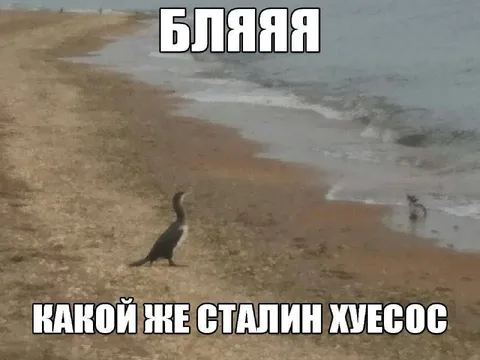Какой же Сталин жуеcос