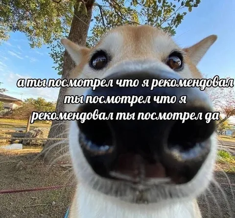 Ты посмотрел, что я рекомендовал