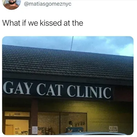 What If We Kissed at the Gay Cat Clinic