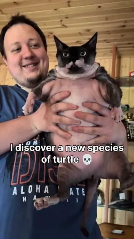 New Species of Turtle