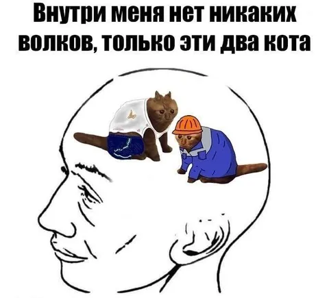 Внутри меня два кота