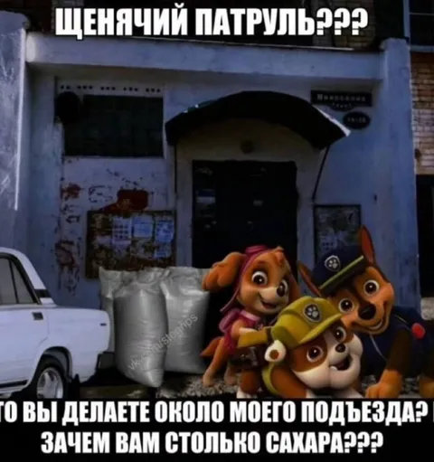 Щенячий патруль у подъезда