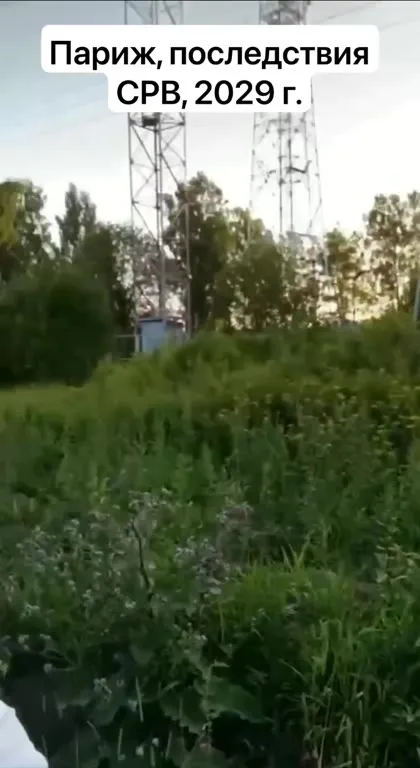 Париж после СВО в 2029