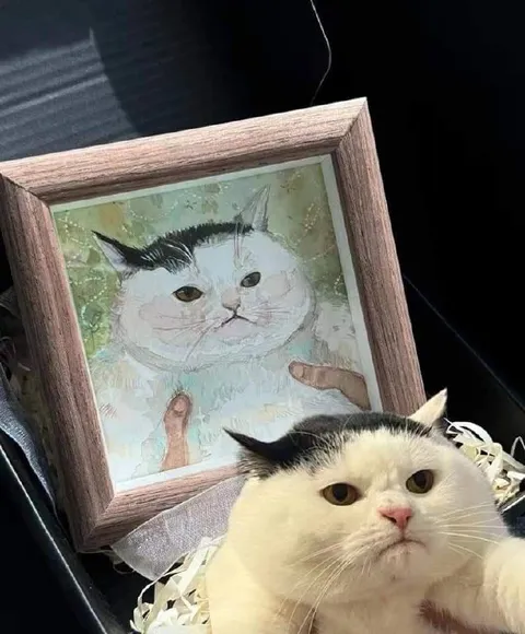 Кот и его портрет