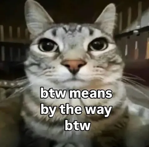 BTW Means By the Way Cat