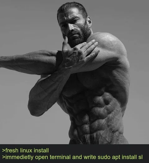 Fresh Linux Install Terminal
