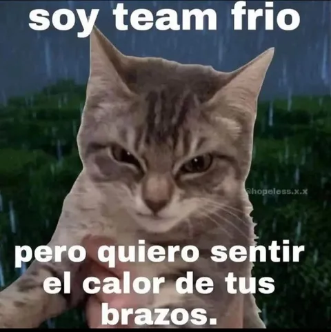 Gato triste bajo la lluvia