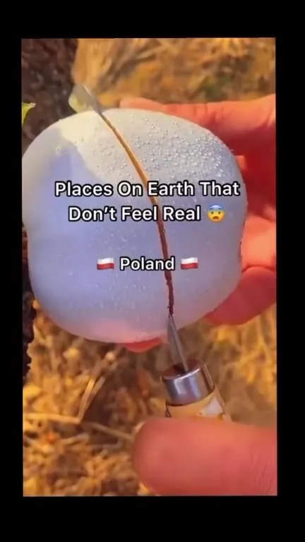 Places in Poland That Feel Unreal