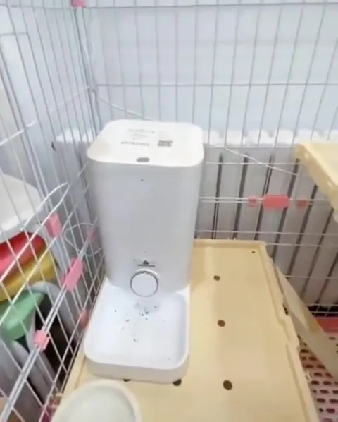 Кот сам включает кормушку