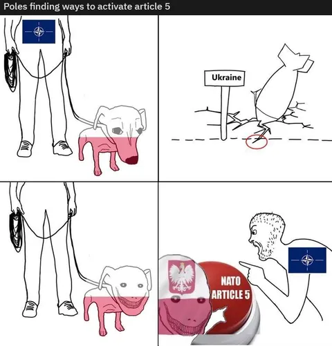 Poles Finding Ways to Activate Article 5