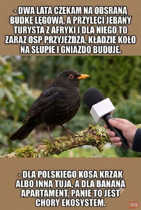 Kos narzeka na niesprawiedliwy ekosystem