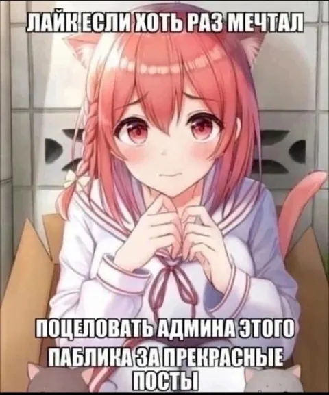 Поцеловать админа за посты