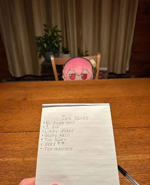 Pink Plush Job Rejection