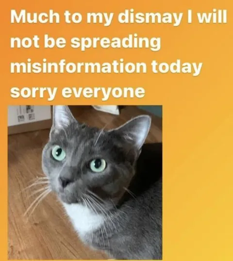 Cat Stops Spreading Misinformation