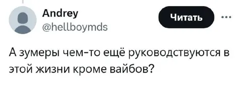 Зумеры и сила вайбов