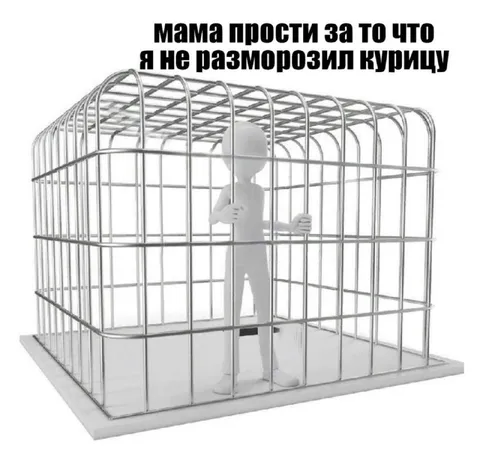 Не разморозил курицу