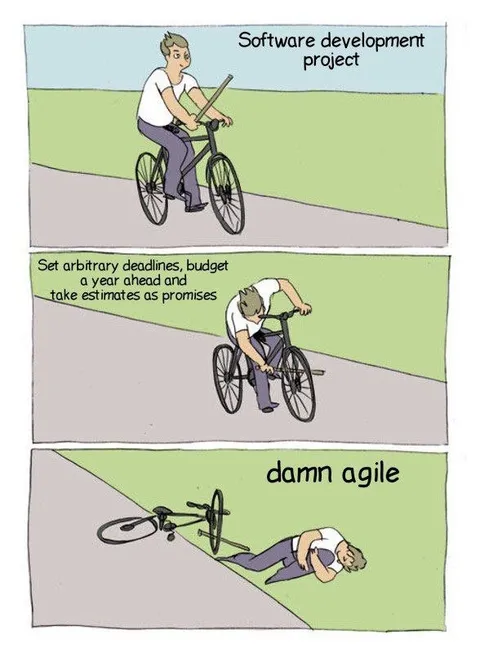 Software Development Project Crash