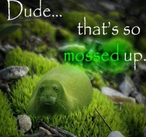 Dude, That's So Mossed Up