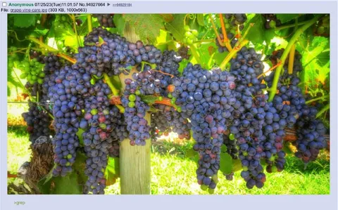 Grape Grep