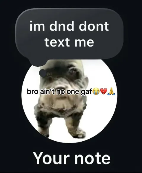 Bro Ain’t No One Gaf