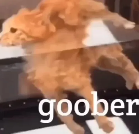 Cats Losing It to The Smiths
