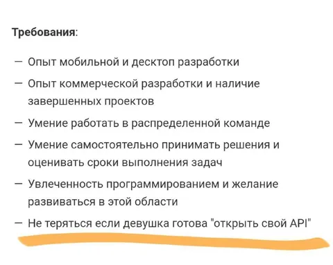 Требования к разработчику