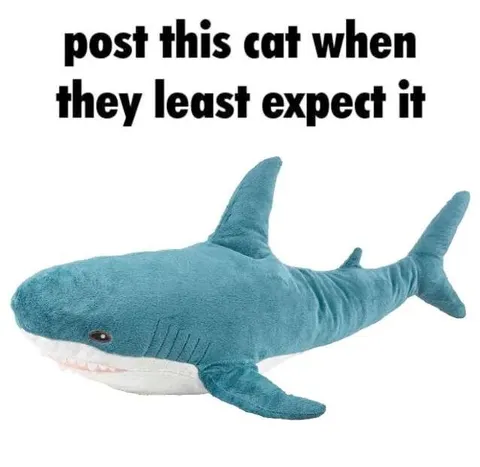Post This Cat Unexpectedly