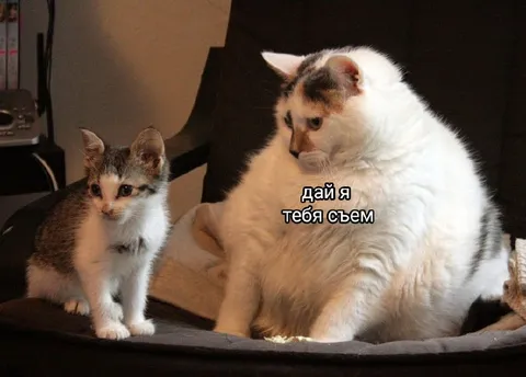 Дай я тебя съем