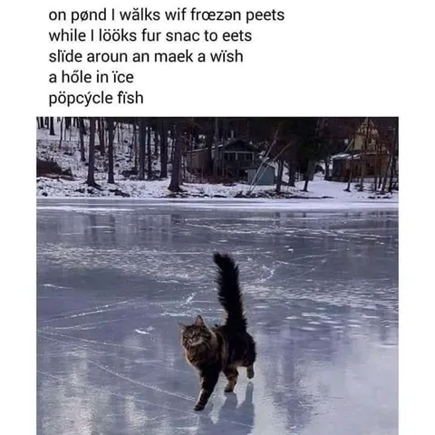 Cat Walking on Frozen Pond