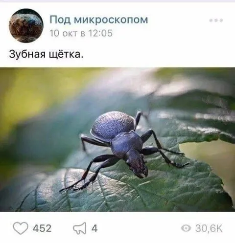 Зубная щётка под микроскопом