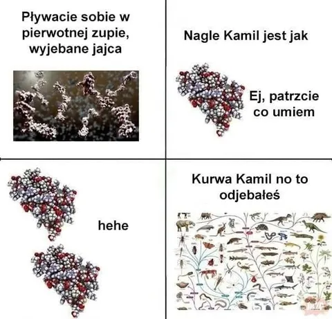Kamil w pierwotnej zupie