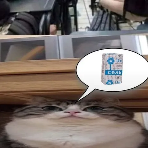 Кот хочет соль